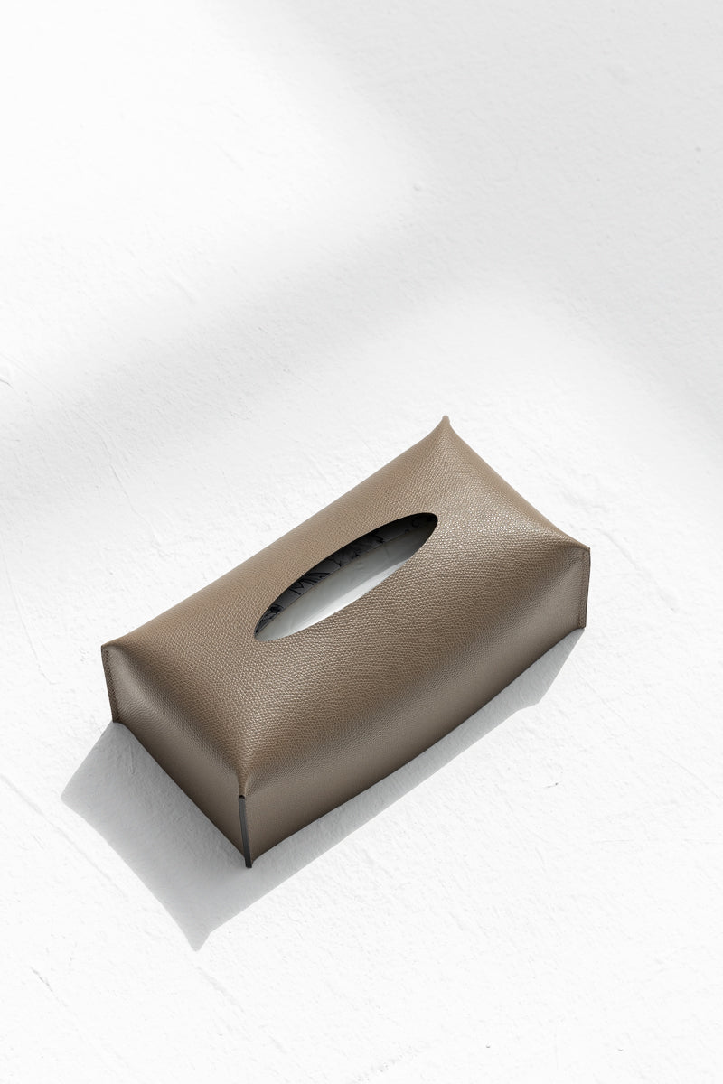 Rectangular Tissue Box in Earth