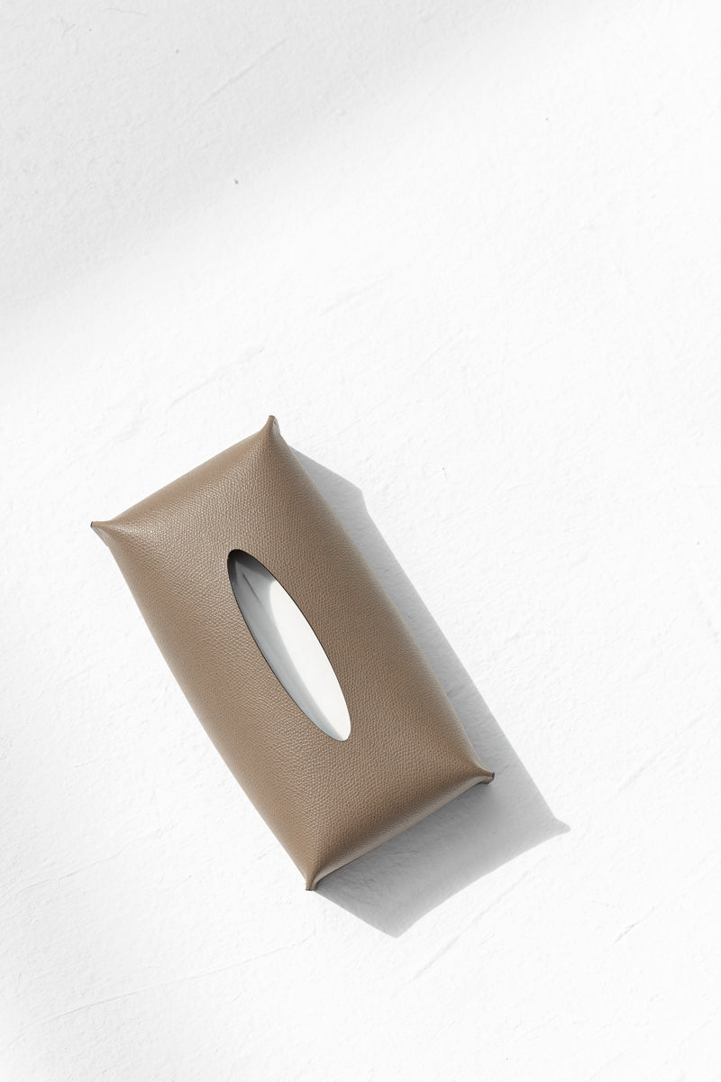 Rectangular Tissue Box in Earth