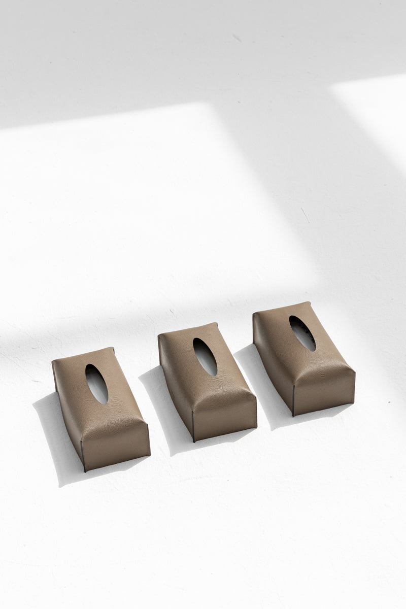 Rectangular Tissue Box in Earth