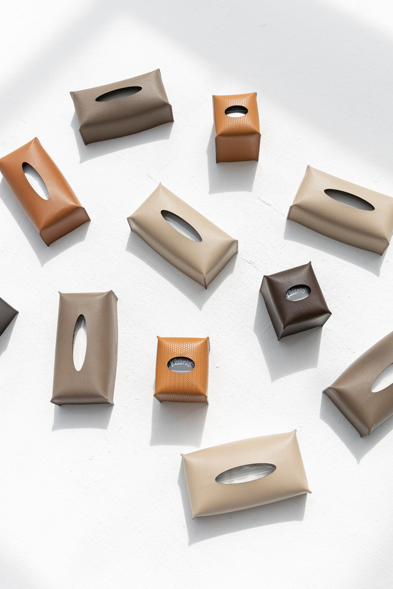 Rectangular Tissue Box in Earth