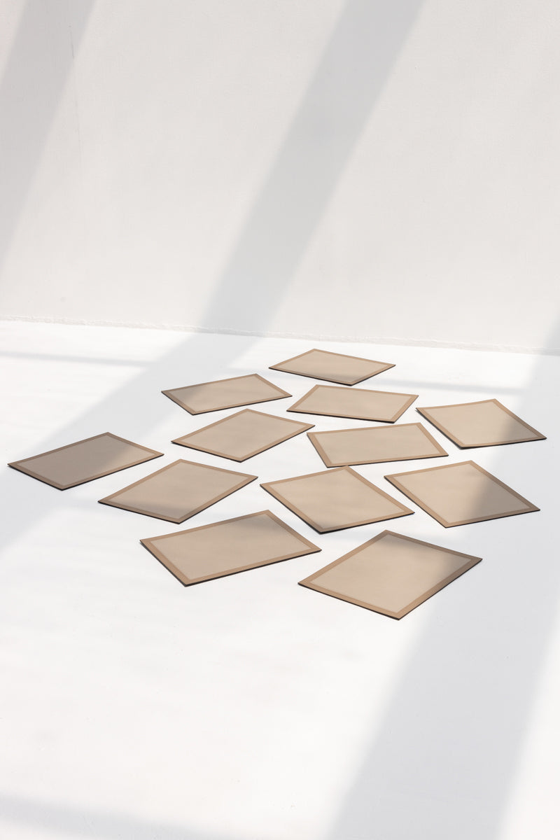 Mary Bicolor Placemat Sets of 12